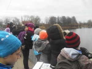 Dregnas_novembra_pedejas_piekt_5