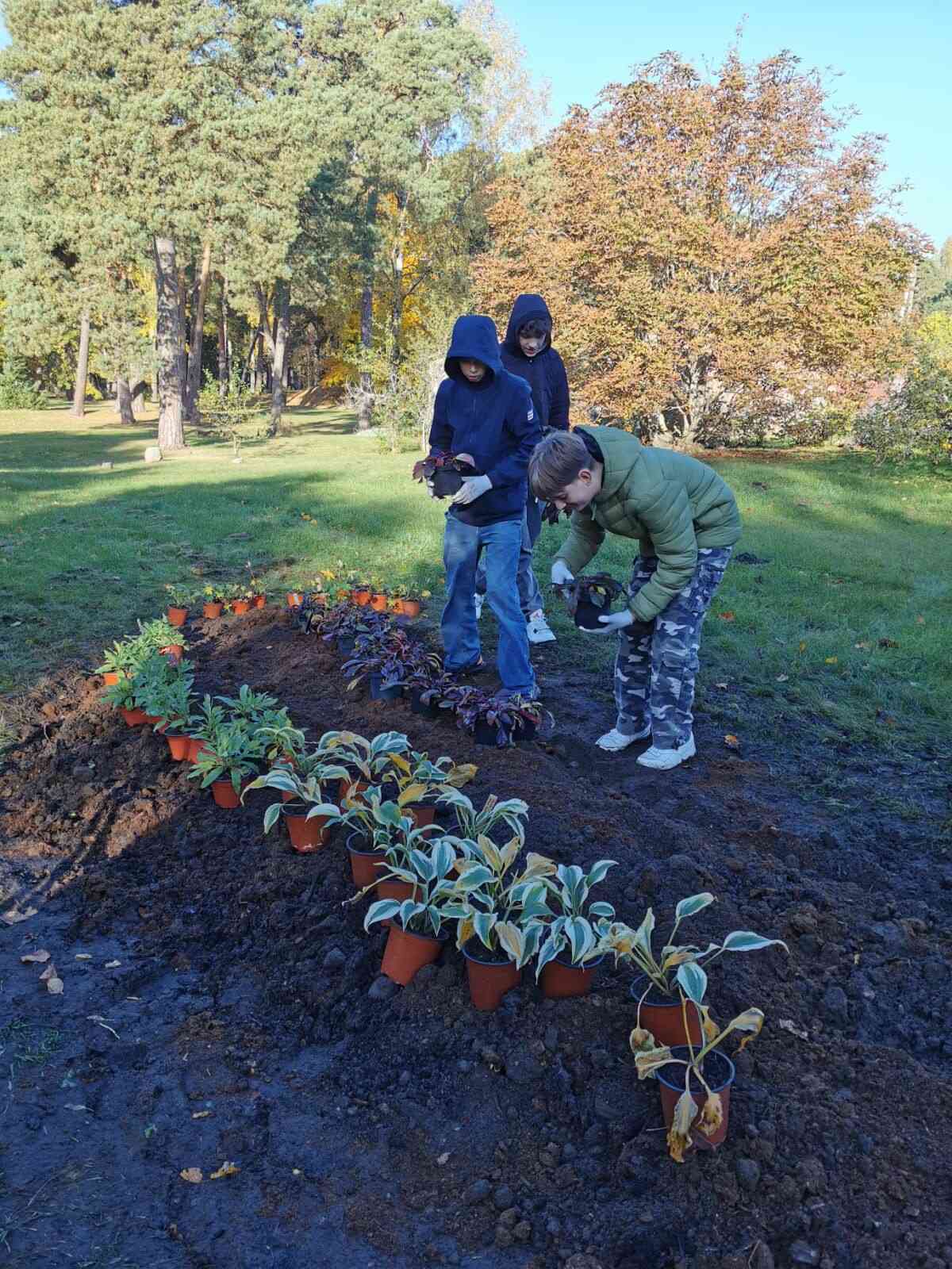 Labo darbu mēnesis!